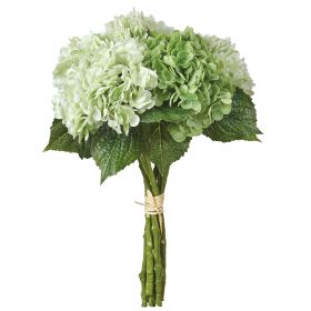 Hydrangea Bundle